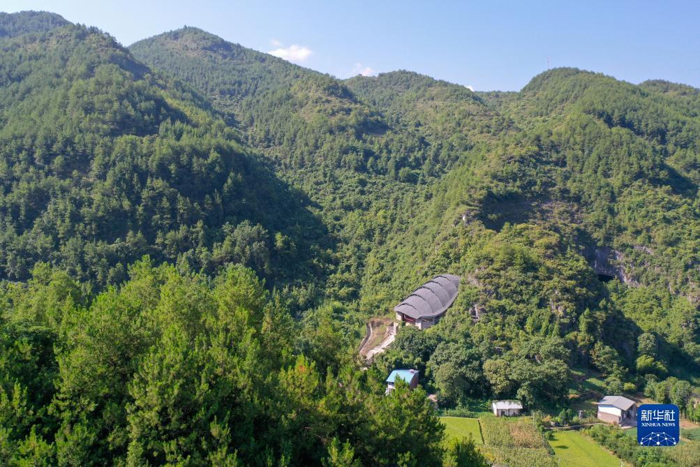 小笨虎娱乐